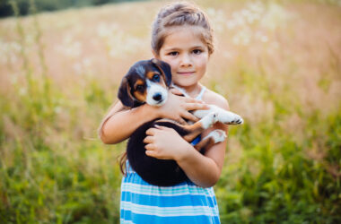 Jak wesprzeć dziecko w przezwyciężaniu strachu przed psami?